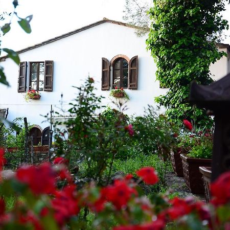 Prato A Baldo Villa Massa Marittima Dış mekan fotoğraf