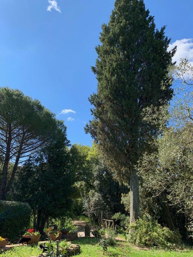 Prato A Baldo Villa Massa Marittima Dış mekan fotoğraf